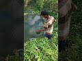 CARI MAKAN UNTUK NON NILA🤣🤣🤣🤣
