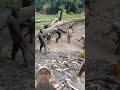 Fishing for tilapia using bottom techniques with milk worms as batfishing#amazingfishing #fish