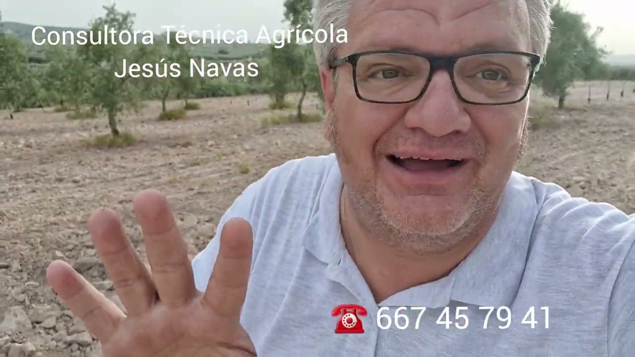 Visita a Olivo con Tuberculosis