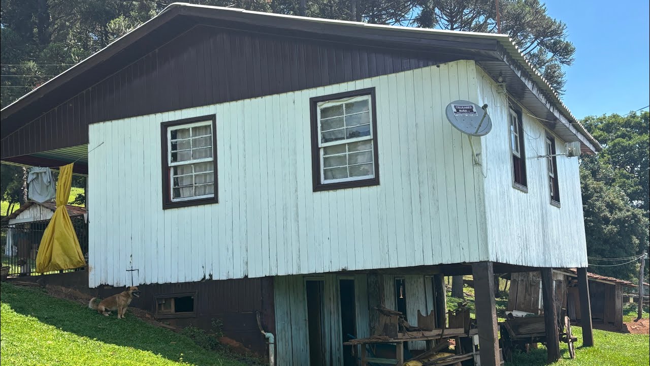 MEU PAI COM 92 ANOS ESTÁ FORTE - RENATO DE VIDEIRA