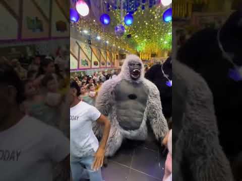 الغوريلا دي فرفوشه اوي الغوريلا اكسبلور ترند  مهرجان  ضحك 