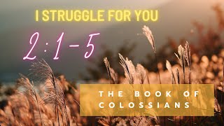 I struggle for you | Colossians 2:1-5