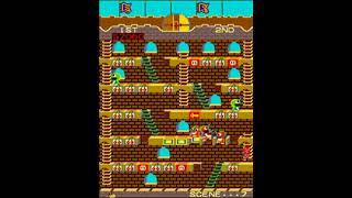 Mr. Do's Castle (178,940) Profile