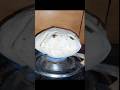 Making Chapati... #shorts #reels #youtubeshorts #funny #reel #raviraj #rvjvlogs #Cooking