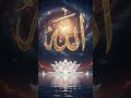 #allh #shorts #islamic #vedeo #allh