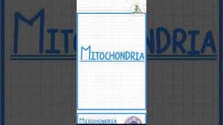 Why is Mitochondria Called the Powerhouse? 🤯