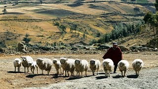 Zumbahua Comunidad Provincia De Cotopaxi - Ecuador, Parroquia Indígena... Parroquia Zumbahua