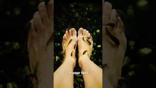 Fish Pedicures 🤔 Surgeon Reacts