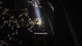 A coon hunt from the spring in West Virginia. #coonhunting #huntingwithdogs #hunting #wv #wildlife