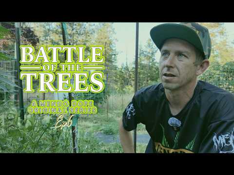 "Back In Mendo" The Battle Of The Trees S2 Ep.6