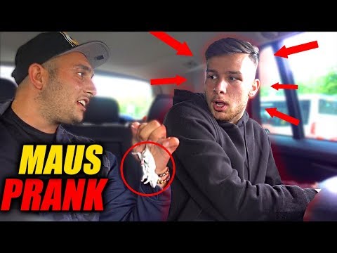 DENIZON gets PRANKED | FaxxenTV
