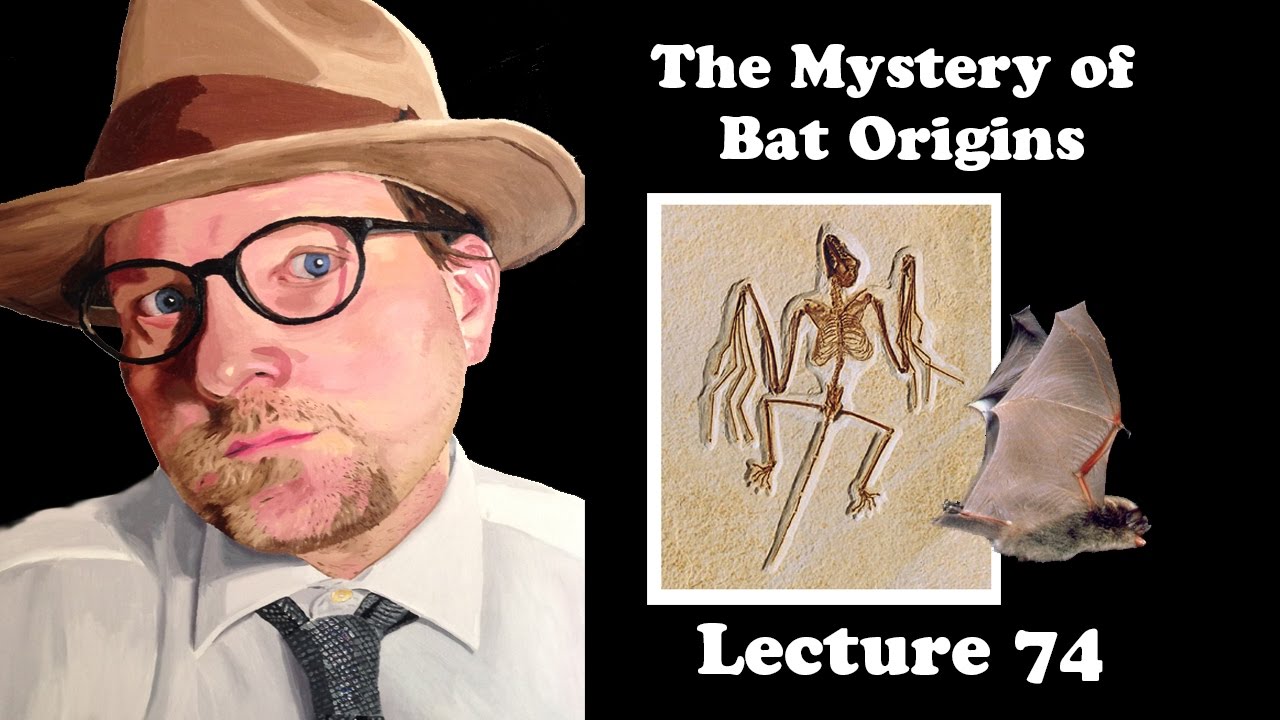 Lecture 74 The Mystery of Bat Origins