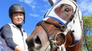 【メイショウタバル】ゴルシ魂渾身の逸品。 プロローグ〜メイショウタバル物語』毎日ゴルシ day241 - YouTube