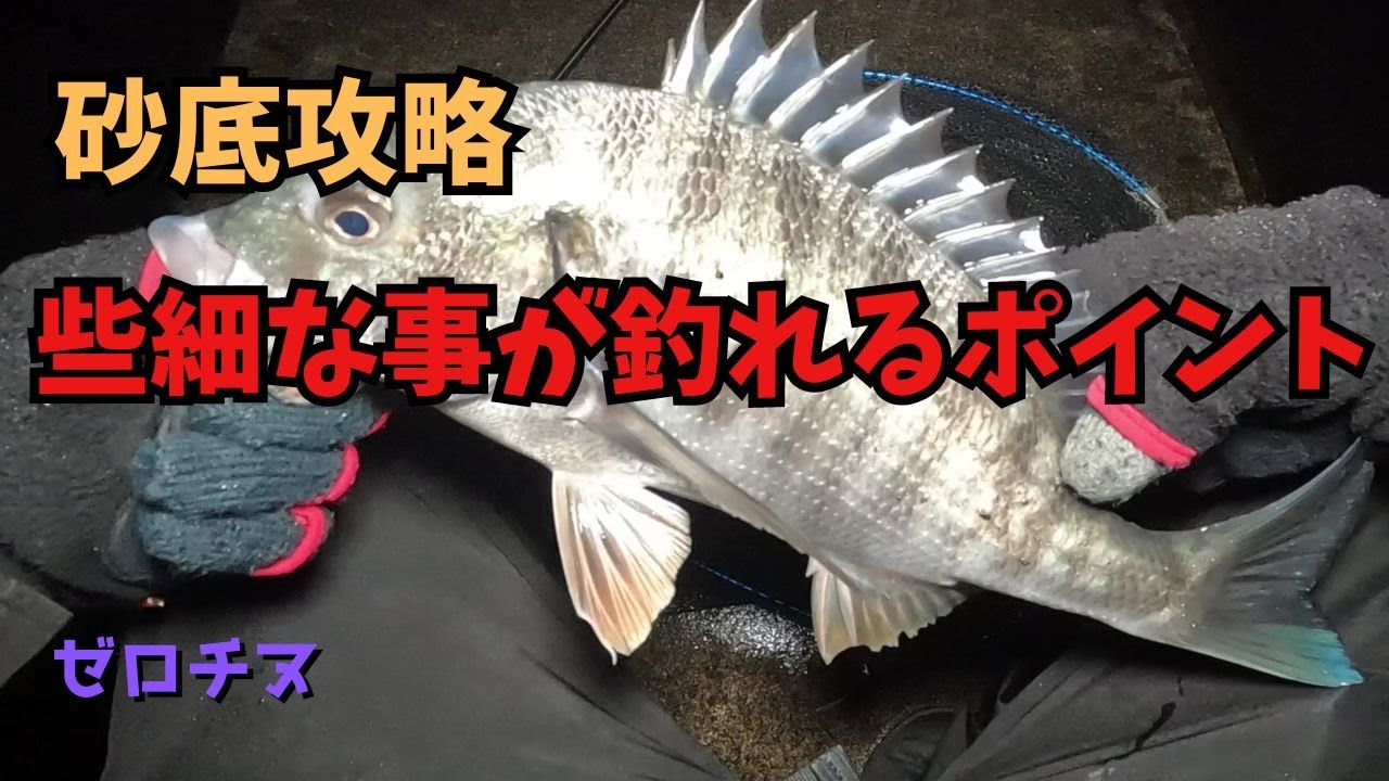 【チニング】ゼロチヌ　season2 　Googleマップは地形の把握に最適【チヌ】