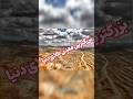 بزرگترین معدن طلا در دنیا ازبکستان دنیا دانستنی فکت دانستنی جالب یوتیوب یوتیوب فارسی