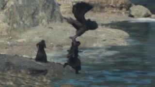 Harpy Drops Beastren in Water | Dragon's Dogma 2