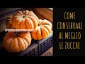 Come conservare al meglio le Zucche