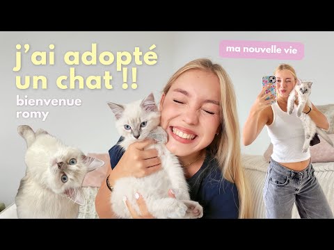 J’AI ADOPTÉ UN CHAT !!