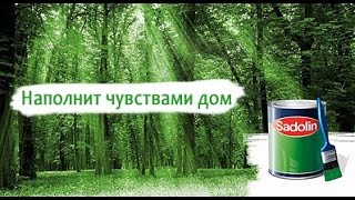 Купить краски, лаки, очистители и шпаклевки ТМ Sadolin (Садолин) в Украине.