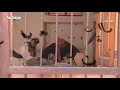 كوكب المجهول سرقوا الحروف أبطال الحروف