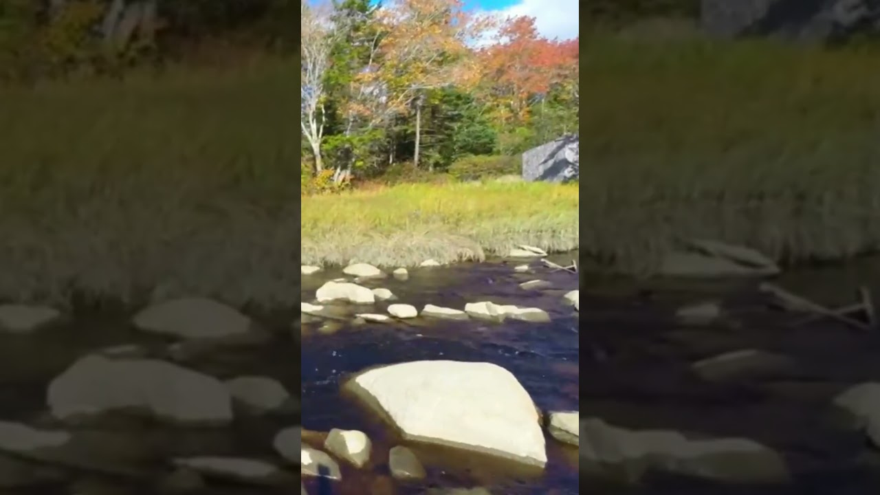 Soothing Sounds 2016