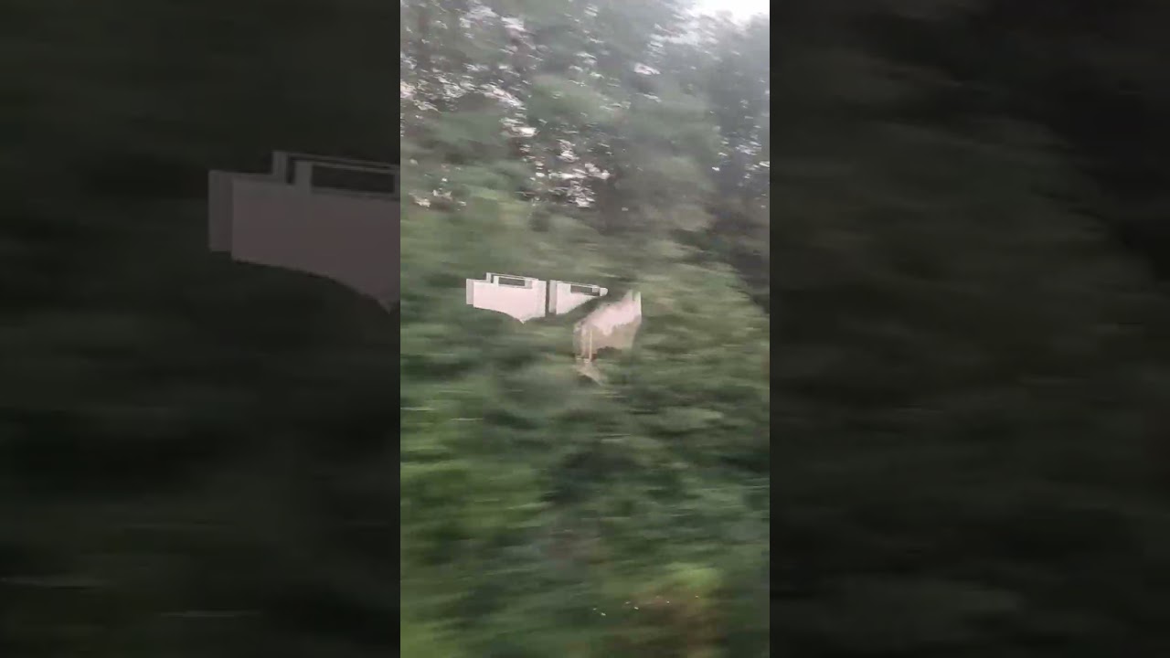 Morning at the Texas border. 