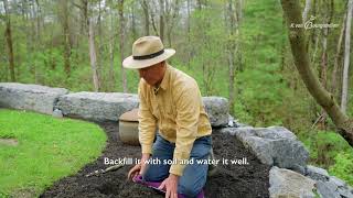 Allium Planting Tips with K. Van Bourgondien