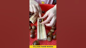 Peeling Chestnuts Made Easy 🌰 #ChestnutPeeler