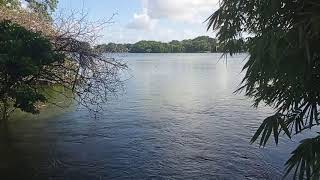 río carrizal y laguna de las ilusiones tierra colorada sector compuerta