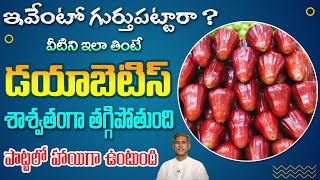 Wonder Fruit for Diabetes | Reduces Body Heat | Summer Special Rose Apple | Dr. Manthena Health Tips