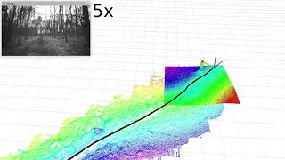 Online Estimation of Diameter at Breast Height for Trees in Forests Using a Handheld LiDAR