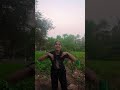 Hamar dulhaniya Bhojpuri song new trend