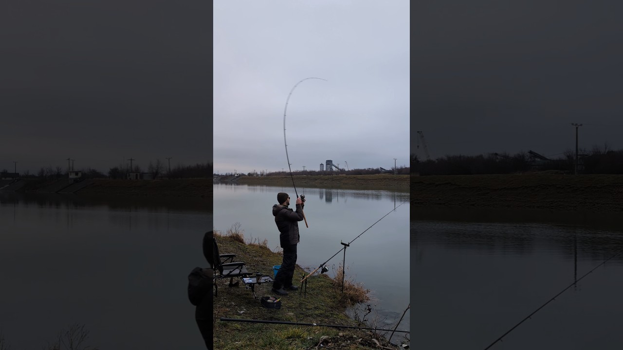 Localizarea peștilor e cheia NR.1 la pescuit! #feeder