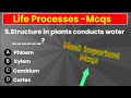 life processes class 10 mcq | MCQ Questions for Class 10 Science Life Process with Answers