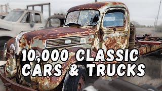 Exploring Arizona's Enormous Classic Car Graveyard