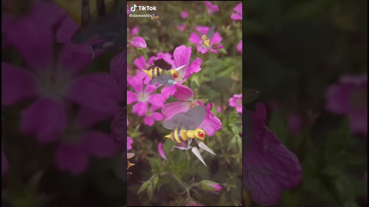 Did everyone else sê loads of Beedrills on community day ? | Pokemon Live