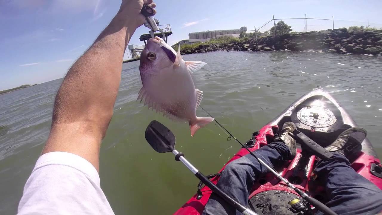 Brisbane River Snapper and Flathead on Dragon Kayaks 241113 YouTube