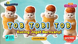 Tob Tobi Tob Versi Kucing Lucu Terbaru