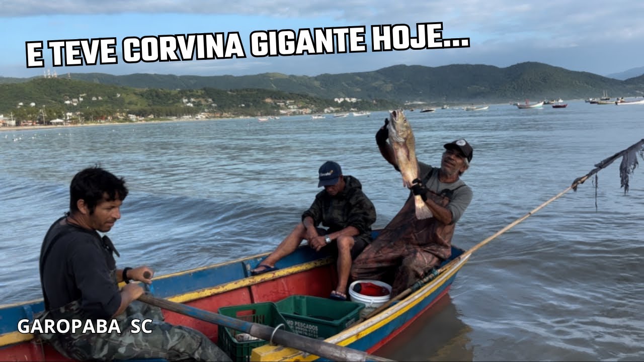 02/03/26 Pescaria de corvina , linguado e robalos na praia central de Garopaba a.C.