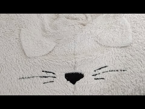 cats inn Kitten Close Up 2017-07-19