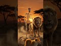 being raised by lions