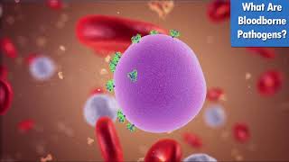 What Are Bloodborne Pathogens? by XO Safety 11,497 views 3 years ago 1 minute, 44 seconds