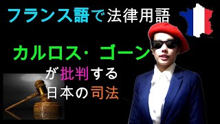 フランス語でカルロス・ゴーンが批判する日本の司法