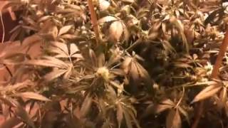 OMMP 2014 Indoor update 3/13