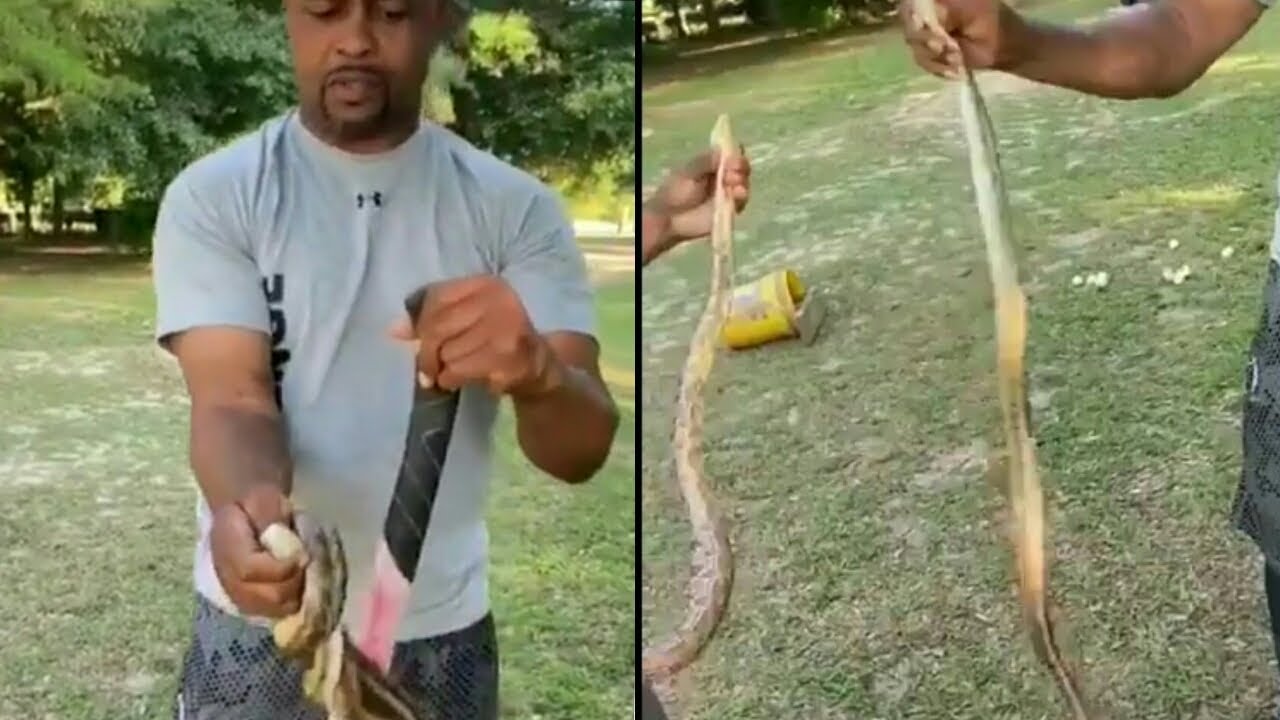 Roy Jones jr Snake Handleing and shows off his Dog's & Rooster's