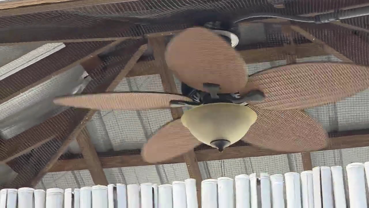 Honeywell Palm leaf fans