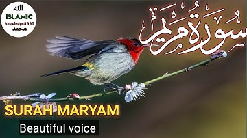 Surat No 19 : سورة مريم - Ayat full # Quran beautiful voice #islamic knowledge8993