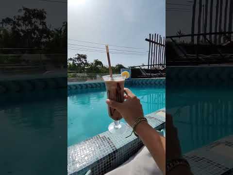 Mayan Monkey Tulum Where Adventure Meets Relaxation MayanMonkey StayShareSocialize Magic