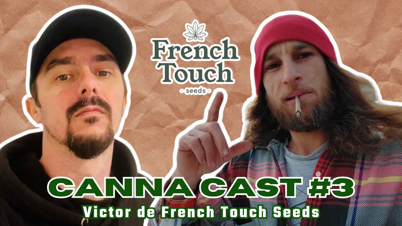 CANNA CAST #3 French Touch Seeds