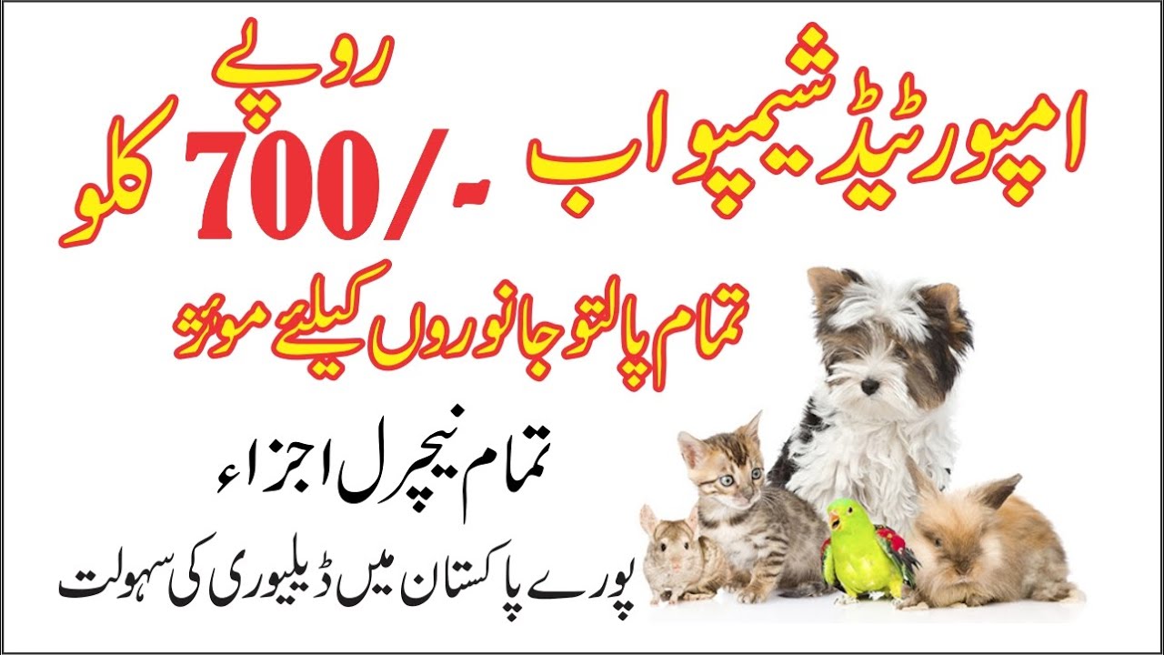 Imported Pet Shampoo 715 Per Kg | Natural Pet Shampoo Per Kg